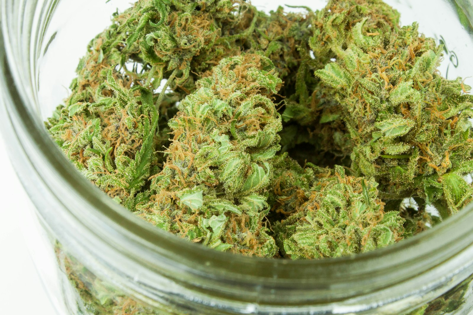 Grashaus Projects: Wie legaler Cannabis-Verkauf in der Schweiz funktioniert