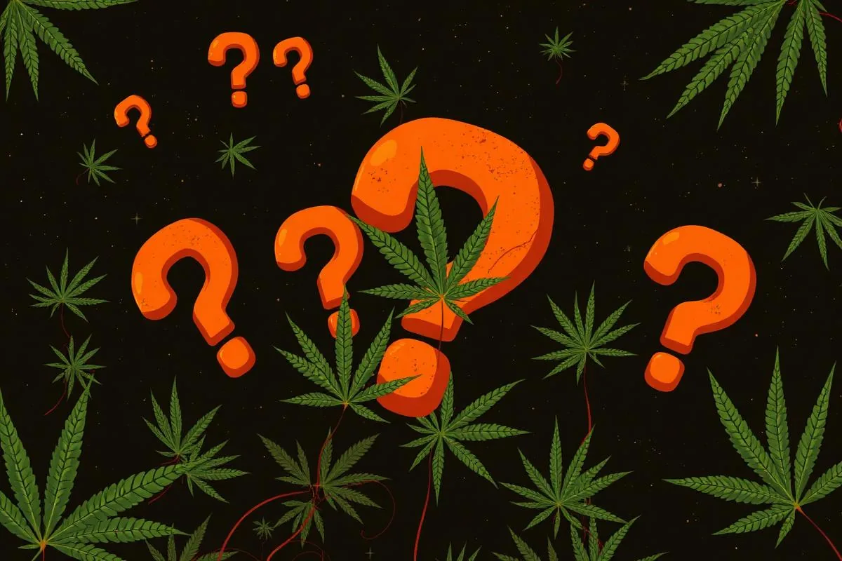 Die 8 größten Cannabis-Mythen — und was wirklich stimmt